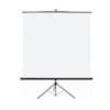 ECRAN DE PROJECTION PROFESSIONNELS TRÉPIEDS & PORTABLE 2.40X2.40M