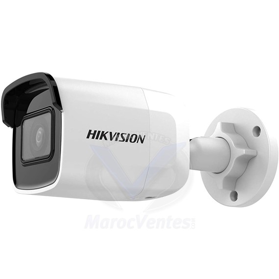 Caméra réseau mini-balle fixe WDR 2 MP DS-2CD2021G1-I