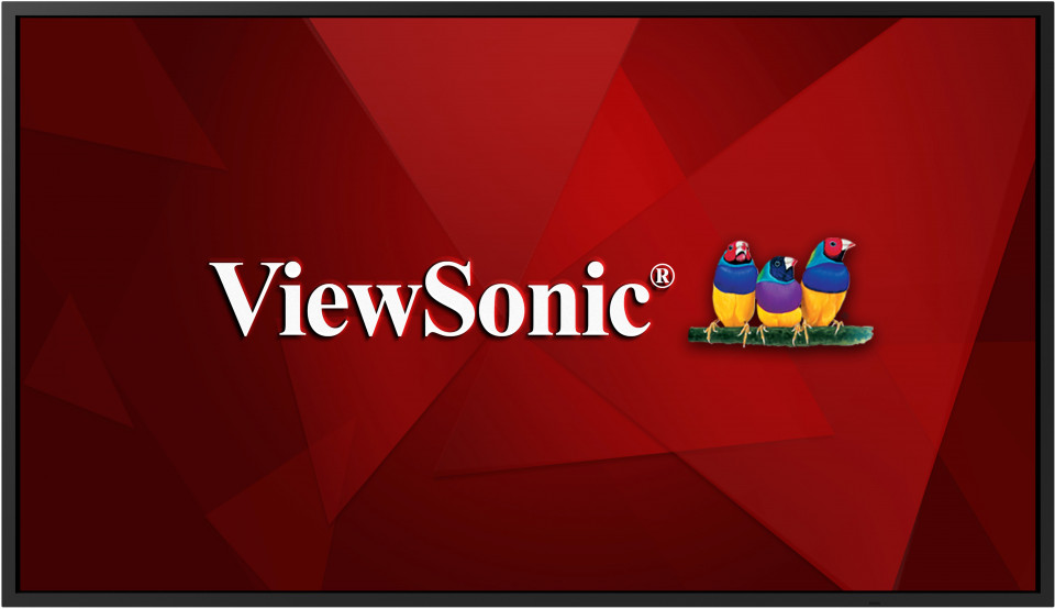 Écran Professionnel 55 pouces 4K LED CDE5520