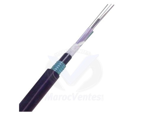 CABLE FO 06 B MM OM2 50/125 ARMEE LINXCOM LXFOCASLTSTA06CMM2PE